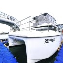 남항대교 하부 | 부산 놀거리 뭐할지 고민이면 요트투어 추천해요🚢🚢