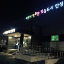 안성시배드민턴장