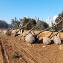 서희학교 이미지