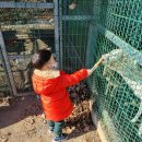 해운목장 이미지