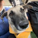 (주)위드어스인 이미지