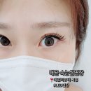 데일리뷰티 - 목포시 | 배곧속눈썹 추천! 자연스럽고 유지력 좋은 LED 속눈썹연장, 데일리뷰티시흥 후기