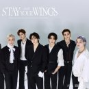 스테이올라 이미지