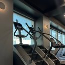 피지오짐 이미지