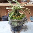 준하농장 이미지