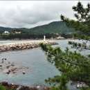 장호식당 이미지