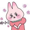 퍼스트짐제주 이미지