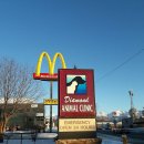 고래동물병원 이미지