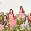 비밀정원12 이미지