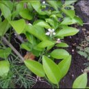 운성농장 이미지