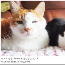 묘르신 이미지