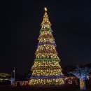 Merry Christmas To You (Puerto Prinsesa of Palawan in Philippine) 이미지