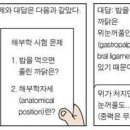 퍼온 정보/[식곤증]﻿ -시몬 이용구- 이미지