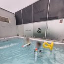 풀모텔 | 담양 세인트 모텔 온수풀 여행 / 담양호 둘레길 /승일식당 후기 (아이들과 파더스데이 여행)