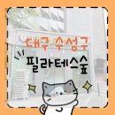 필라테스 | [필라테스숲] 황금동 필라테스 체험후기