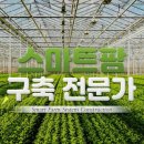 체인네트웍스주 이미지