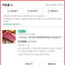 인천 강화도 애견수영장과 오션뷰가 있는 반려견 동반 나폴리 펜션 피렌체룸 밀라노룸 이용 솔직 후기