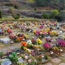 꽃빛공원 화장실 이미지