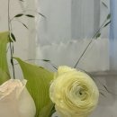 달스턴플라워