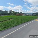 칠보농협하나로마트 이미지