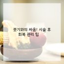 눈이야기 이미지