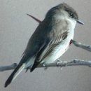 미진여인숙 이미지