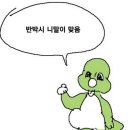 김남구 | [한국투자증권] #2. 2023 채용연계형 국내대 인턴 IB 2차면접 후기 (꿀팁 있음)