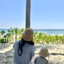 유수농장 | 아기랑 나트랑 4박5일 여행일정 공유, 16개월 아기 추천코스 (ft. 3월 날씨, 꿀팁, 주의사항)