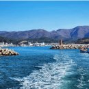 솔밭길샤브 | 🏝️전라북도 부안 위도: 서해안의 숨겨진 비밀 낙원 🌊