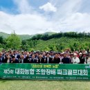 강원감자농협조합공동사업법인 이미지
