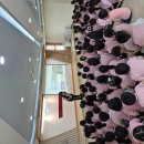 [🌸물푸레반🌸]🌿 다시 만나 더 반가운 💛🌈 우리들의 즐거운 2학기가 시작됐어요! 이미지