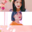 러비 이미지