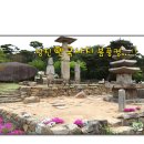 남원 만복사지 석조여래입상 | 당진 안국사지 석조여래삼존입상과 석탑