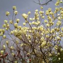 등촌근린공원 이미지