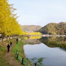 관리낚시터 이미지