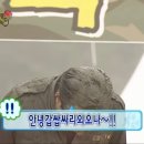 스톤래빗 이미지