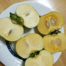 단감농장 | 농라 <밀양농부농장> 태추단감 소과 4.5kg 후기