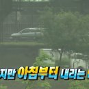 공지로4 | [공지] My Wedding 마지막 기록 💍 - 비 오는 날의 행복했던 라비두스 4월 본식 후기