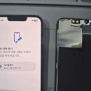 순정축협 동물병원 | 아이폰 카메라, 갑자기 이상하다고요? 당황하지 마세요!