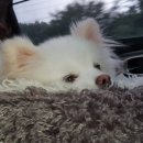 하리민박 이미지