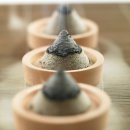 보감한의원 이미지