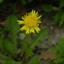 꽃소아청소년과의원 이미지