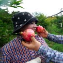 중산농장 이미지