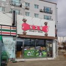 도그맘애견 네이버블로그