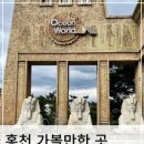 코인 정육점 이미지
