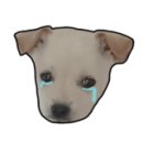 쏭쏭PC 이미지