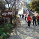 돌팀이횟집 이미지