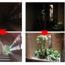 에프엘씨(FLC) 이미지