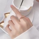 도금이네 이미지