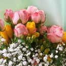 기대는 꽃집아가씨, 반전은 꽃집아저씨?! 전주꽃다발 추천 후기💐